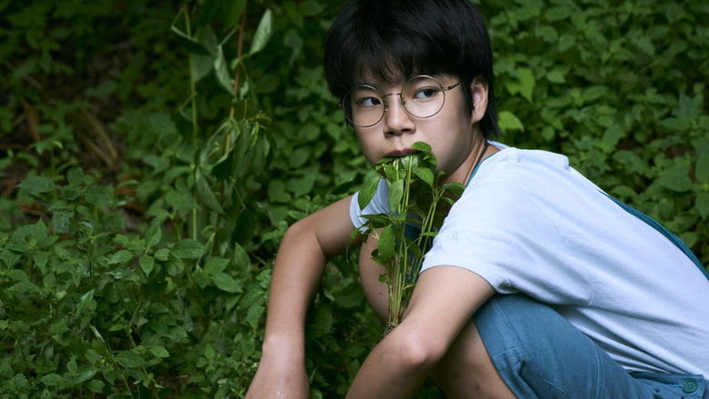 кадр из фильма ルート29