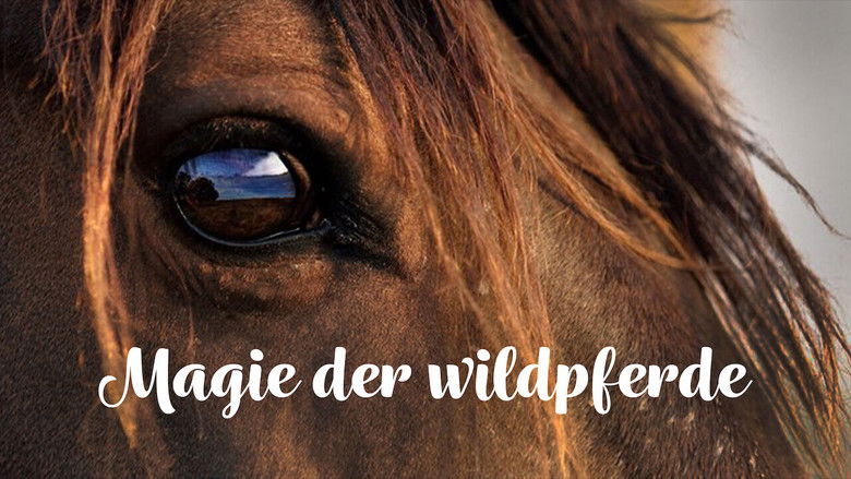 кадр из фильма Magie der Wildpferde