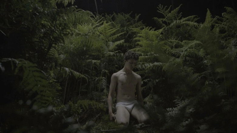 кадр из фильма New Queer Visions: The Last Days of Innocence