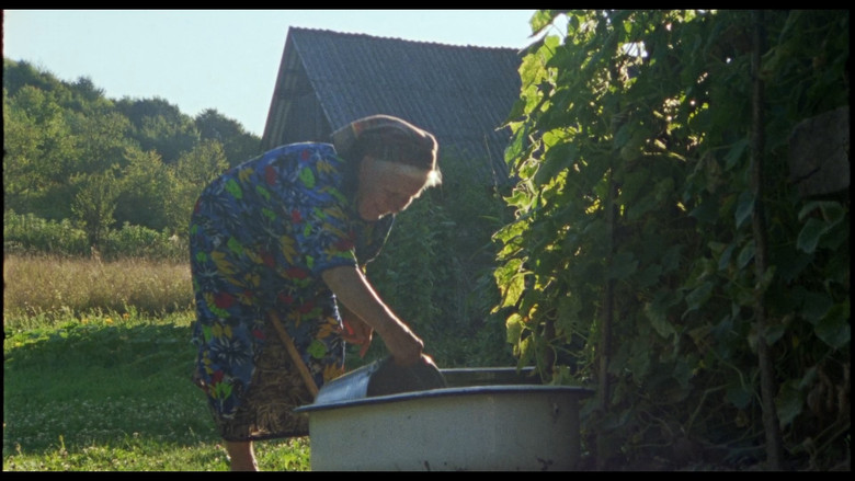 кадр из фильма Adentro mío estoy bailando