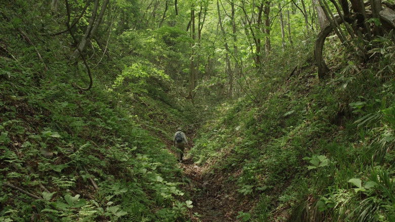 кадр из фильма Маленький лес. Зима, весна