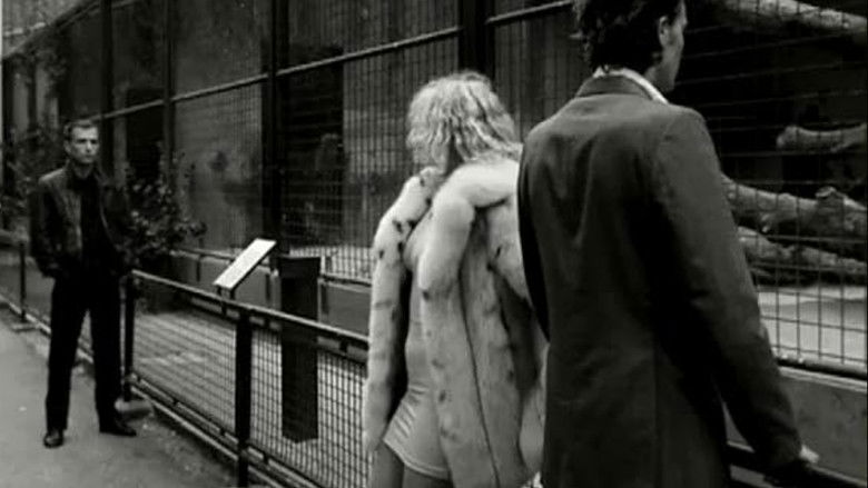 кадр из фильма Venus in Furs