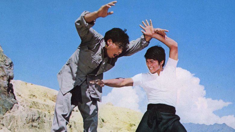 кадр из фильма 小霸王