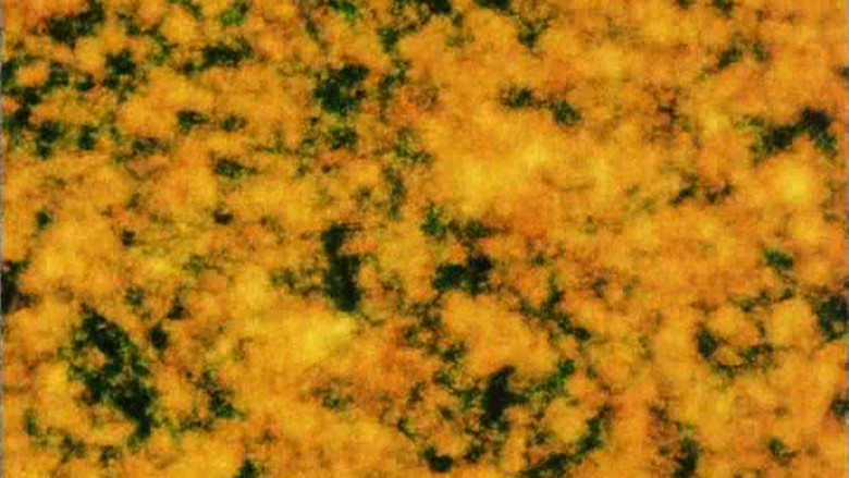 кадр из фильма Pneuma