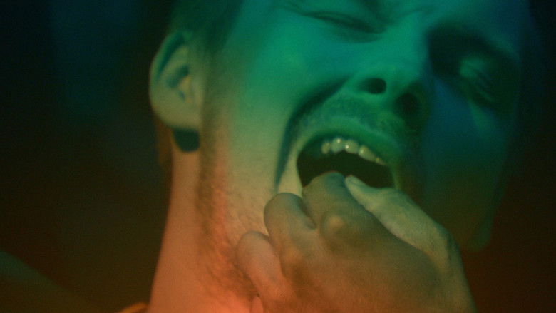 кадр из фильма The Wisdom Tooth