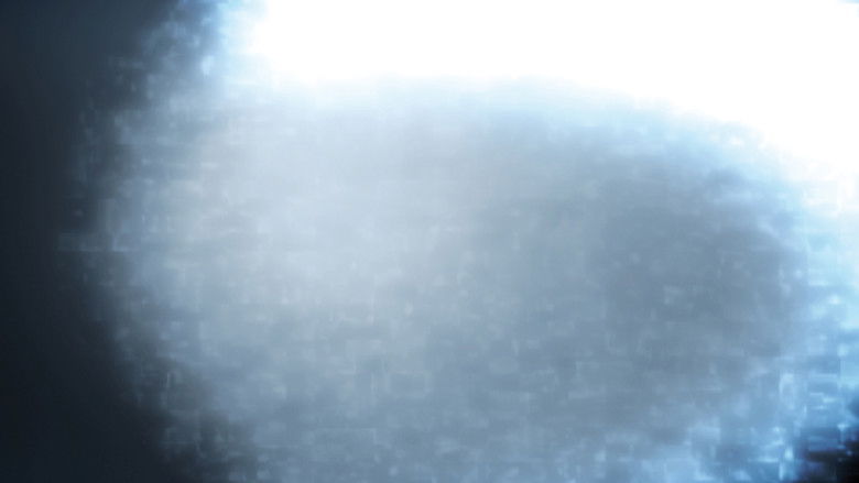 Sascha Müller - Transmission