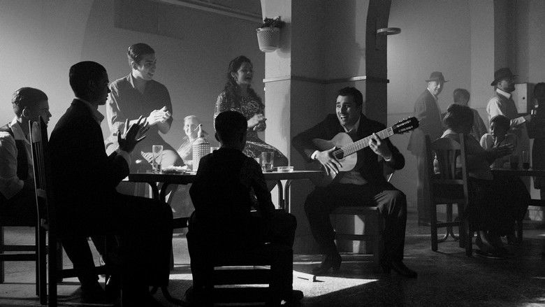 кадр из фильма Peret: jo soc la rumba