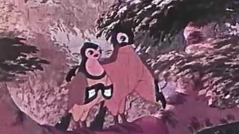 Свадьба соек