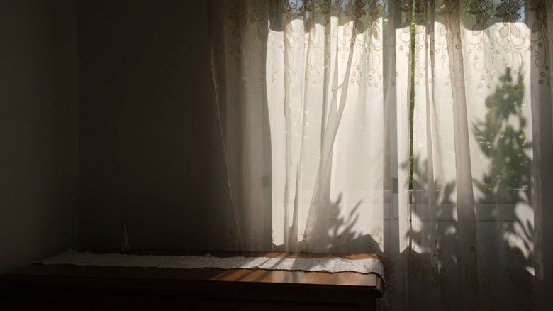 кадр из фильма Ceifeira