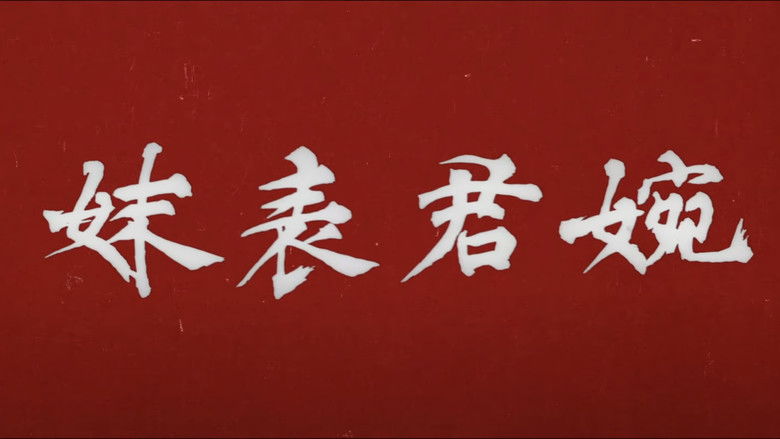 кадр из фильма 婉君表妹