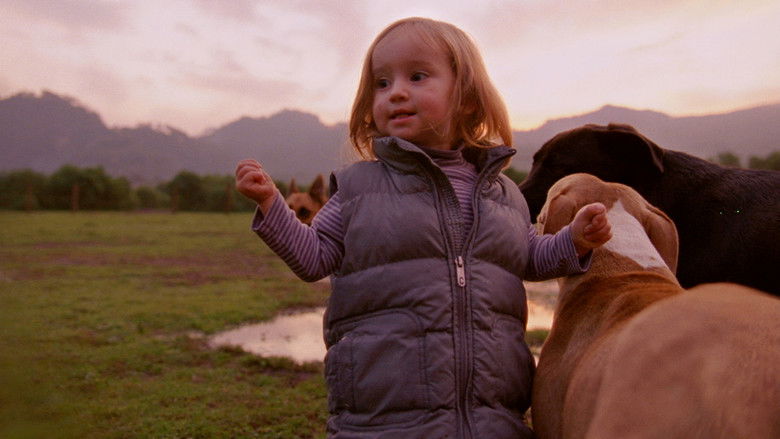 кадр из фильма После мрака свет