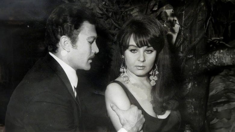 кадр из фильма Nilgün