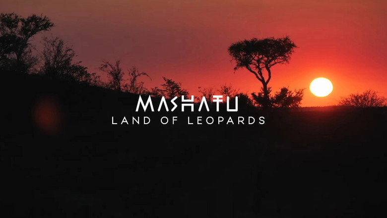 кадр из фильма Mashatu: Land of Leopards