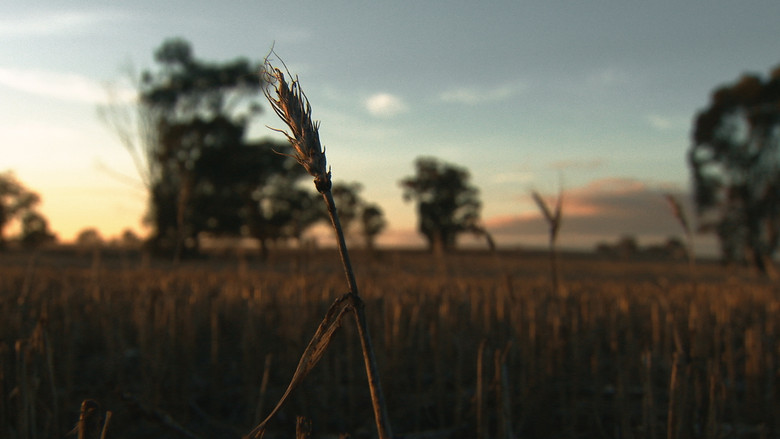 кадр из фильма Without Water