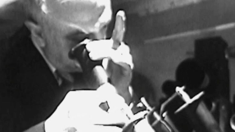 кадр из фильма Night Mayor