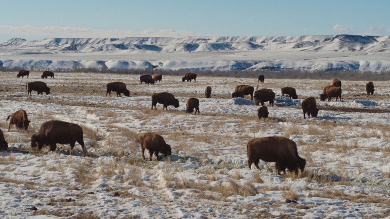 кадр из фильма Homecoming