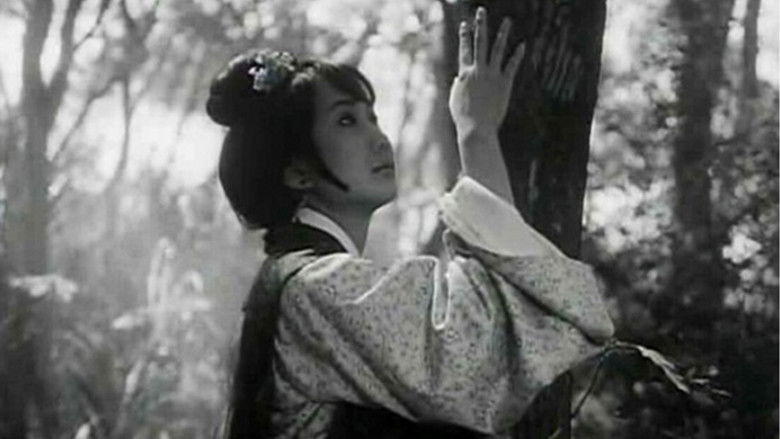 кадр из фильма 董夫人