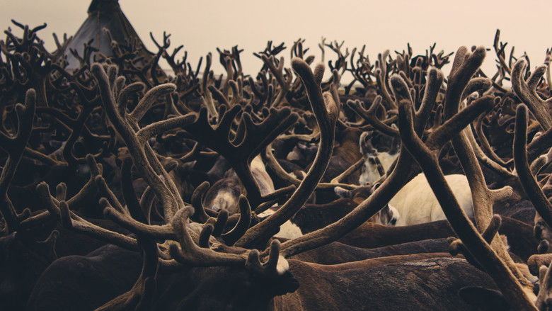 кадр из фильма Mammoth Unearthed