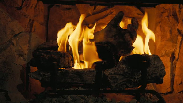 кадр из фильма Fallout: The Ghoul Log