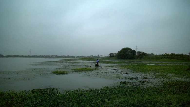 кадр из фильма Миссис Фан