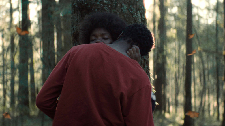 кадр из фильма El jardín que soñamos