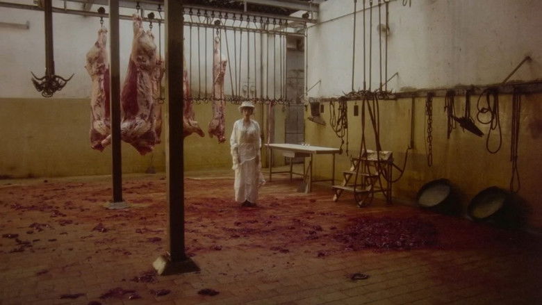 кадр из фильма Очарование