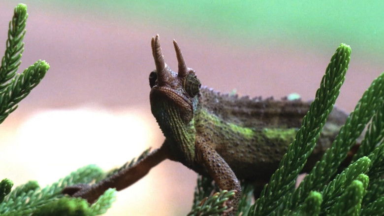 кадр из фильма The End of the Game