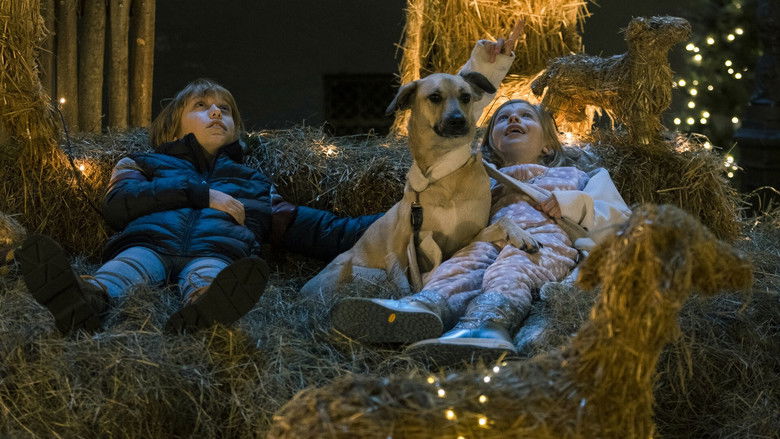 кадр из фильма Kapa