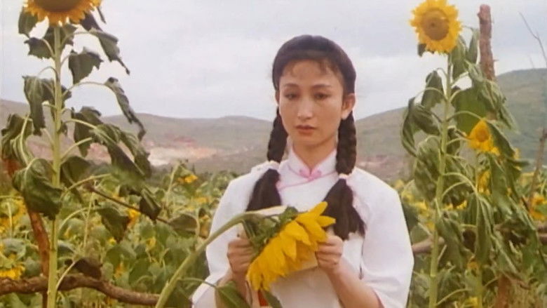 кадр из фильма 情人的血特别红