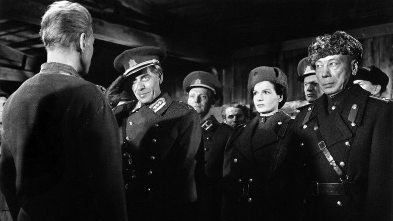 кадр из фильма Der Arzt von Stalingrad