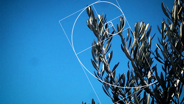 кадр из фильма Geometria bàsica de la muntanya del Montsianell