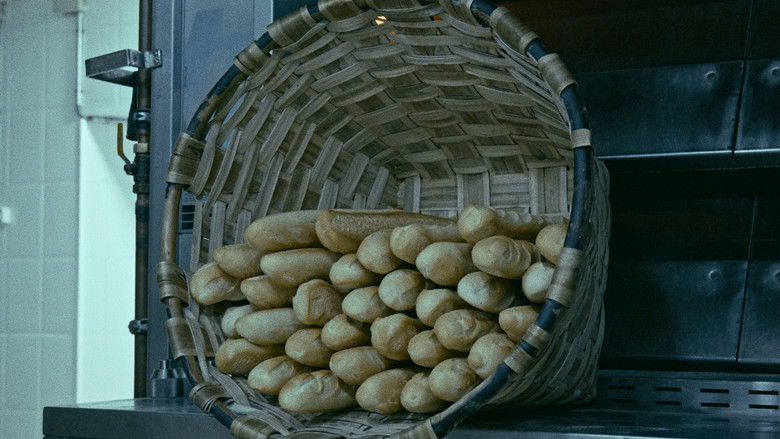 кадр из фильма La Mecánica del Cine