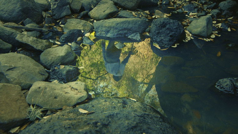 кадр из фильма Quintaesencia