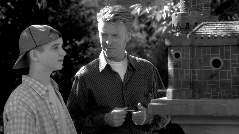 кадр из фильма Тайна мистера Райза