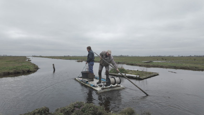 Hoop in de Hoep