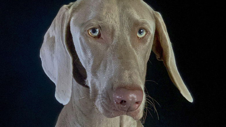 кадр из фильма Comment le chien a conquis le monde