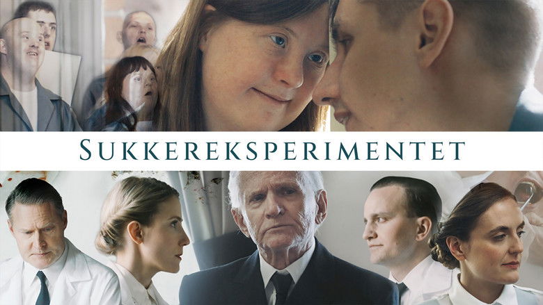 кадр из фильма Sockerexperimentet