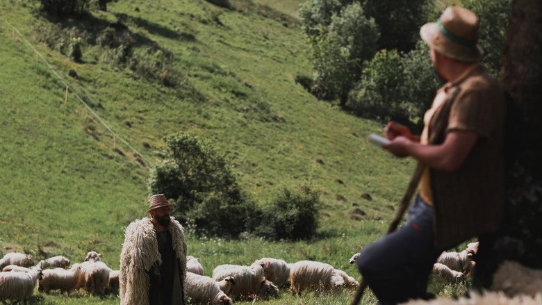 кадр из фильма Pup-o, mă!