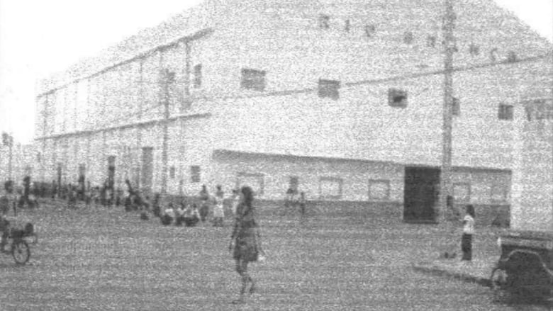 кадр из фильма Chico do Cinema