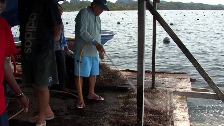 кадр из фильма Mutiara, légende d'une perle