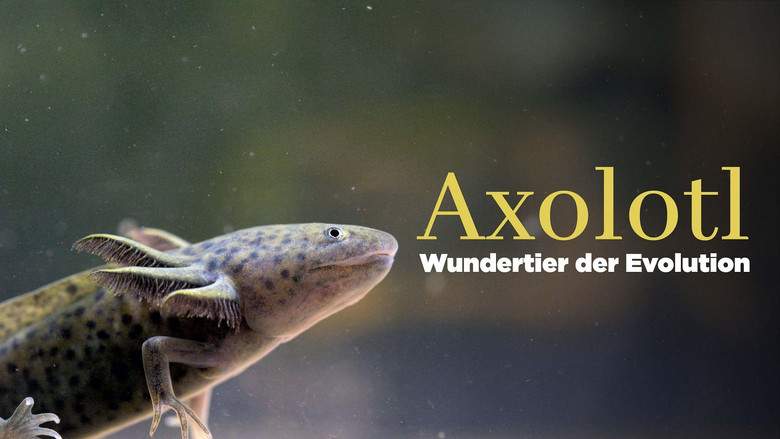 кадр из фильма Axolotl, la salamandre miraculeuse
