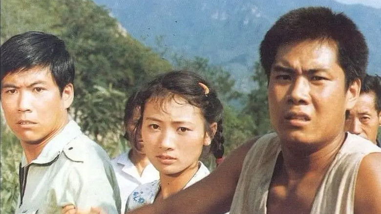 кадр из фильма 月月