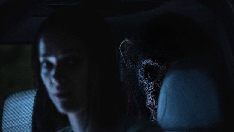 кадр из фильма Примат