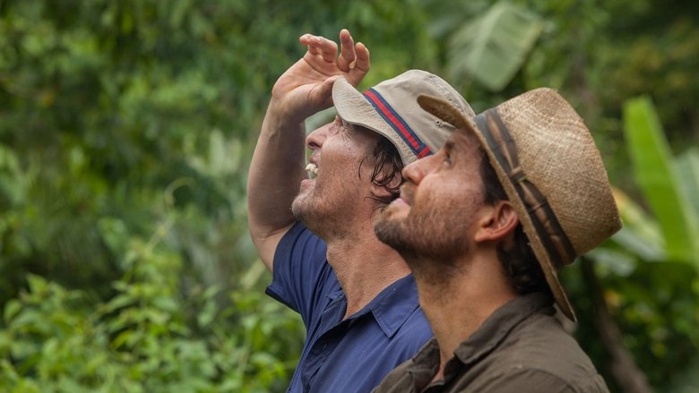 кадр из фильма Золото