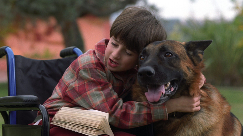 Четвероногая звезда