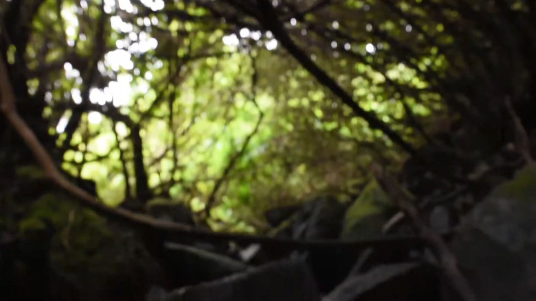 кадр из фильма Inner Journey