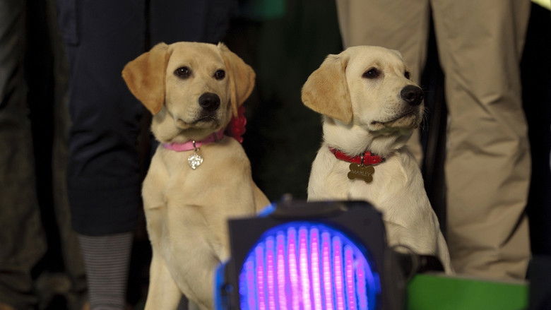 кадр из фильма Марли и я 2