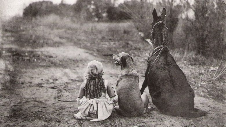 кадр из фильма Through The Back Door