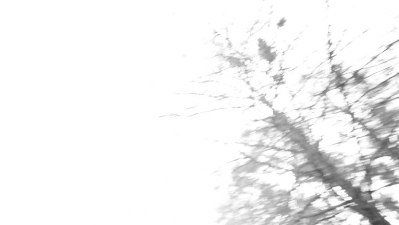 кадр из фильма Costura Eutimia