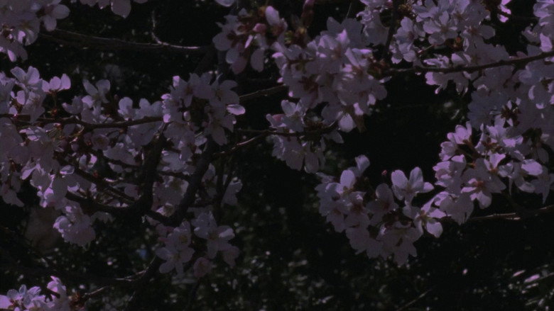 кадр из фильма Spring Songs